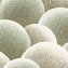 Обои Индустрия 8889-15 Puff